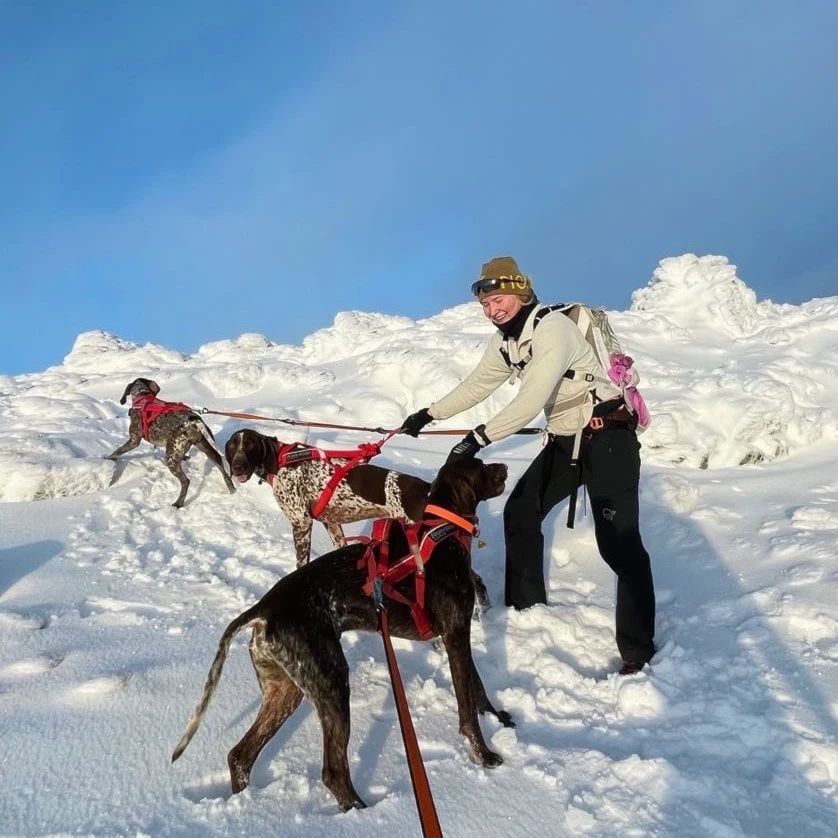 Nyheter fra ESK - EU regelverk om hundehold